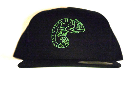 Snapback - Black/Green